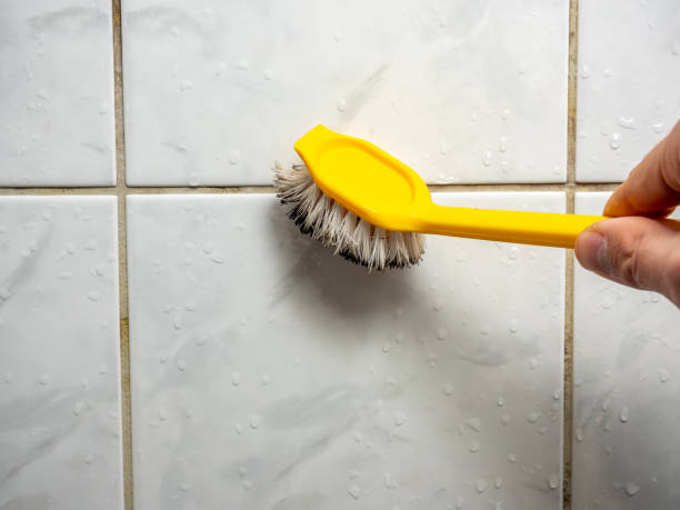 Best Water Damage Restoration  in Waldorf, MD