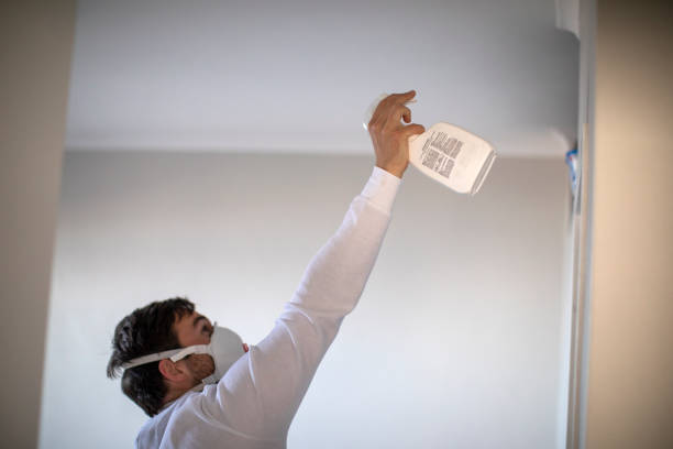 Best Residential Mold Removal  in Waldorf, MD