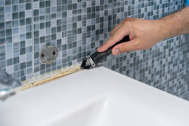 Best Office Mold Removal Services  in Waldorf, MD